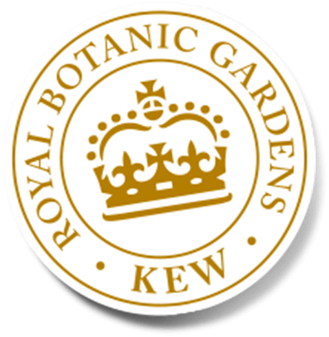 natural-herbal-organic-shampoo