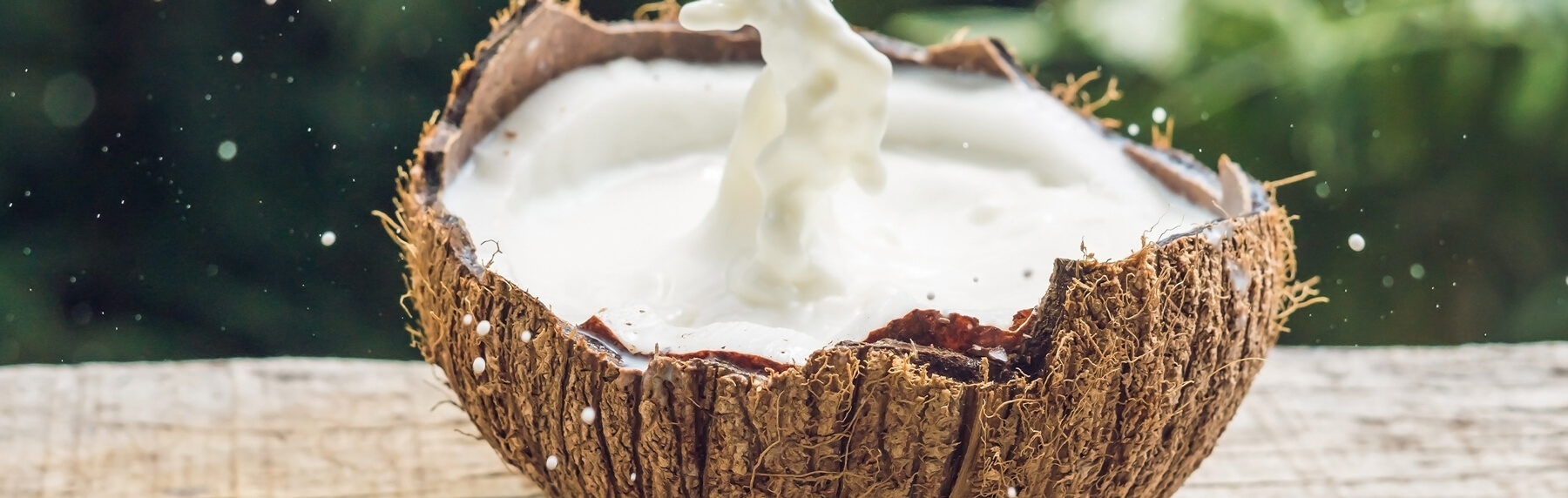 Coconut Milk for Your Hair Benefits, Uses and Tips PG Shop Owned