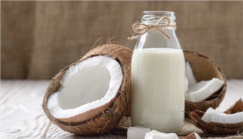 Coconut Milk for Your Hair: Benefits, Uses and Tips - PG Shop – Owned by  BGDPL, Authorised P&G Distributor